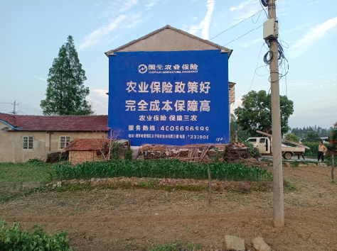 峡江墙体广告的优劣势你知道吗？